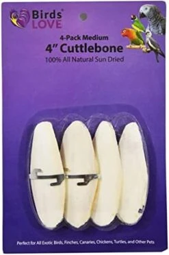 Birds LOVE Natural Cuttlebone – Premium Calcium & Trace Mineral Supplement For Avian Species, Tortoises, And Snails – Pure Cuttlebone For Parakeets, Cockatiels, And All Birds | 12 Pack Of 5 .5-6" -Zoo Shop 41SDtVoKCUL. AC