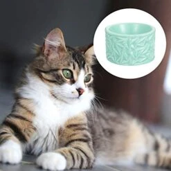 Pet Bowl Neck Protection Pet Feeder Ceramic Cat Bowl Cat Food Bowl Anti- Skid Feeder -Zoo Shop 41SdMlHCvVL