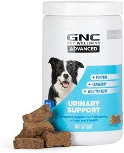 GNC For Pets Advanced Urinary Support For Dogs | Soft Chew Dog Supplement For All Dogs Urinary Tract Support | 60ct Soft Chews Chicken Flavor Dog Supplement For Urinary Health 29 GNC For Pets Advanced Urinary Support For Dogs | Soft Chew Dog Supplement For All Dogs Urinary Tract Support | 60ct Soft Chews Chicken Flavor Dog Supplement For Urinary Health -Zoo Shop 41Sf2C hJ8L. AC