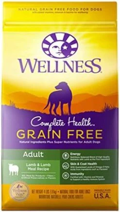 Wellness Complete Health Grain-Free Dry Dog Food, Natural Ingredients, Made In USA With Real Meat, For All Lifestages (Chicken, 24-Pound Bag) 31 Wellness Complete Health Grain-Free Dry Dog Food, Natural Ingredients, Made In USA With Real Meat, For All Lifestages (Chicken, 24-Pound Bag) -Zoo Shop 41SjR2Zjh7L. AC