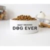 GENERIC Best Fcking Dog Ever Bowl, Ceramic Bowl For Dog, Dogs Drinking Bowl, Gift For Pets, Available In Two Sizes -Zoo Shop 41SsyRyFg9L