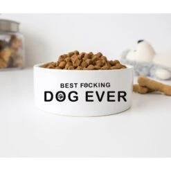 GENERIC Best Fcking Dog Ever Bowl, Ceramic Bowl For Dog, Dogs Drinking Bowl, Gift For Pets, Available In Two Sizes