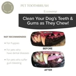 GENERIC ECCOVERSE PET Cleaning KIT For Dog's Teeth Cleaning Pets Dental Care Harmless Cleaning Kit Pets Oral Health Eco-Friendly, White (PTB24) 11 GENERIC ECCOVERSE PET Cleaning KIT For Dog's Teeth Cleaning Pets Dental Care Harmless Cleaning Kit Pets Oral Health Eco-Friendly, White (PTB24) -Zoo Shop 41T2awnX85L