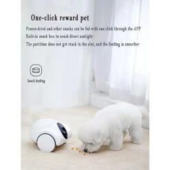 Jucyuanhang Pet Automatic Feeder, Pet Companion Intelligent Robot With High-Definition Night Vision Camera, Two-Way Voice Function, Relieve Pet Anxiety, Support Multi-Person Sharing -Zoo Shop 41TBqFXmvgL