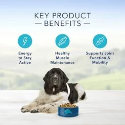 Blue Buffalo Life Protection Formula Natural Senior Large Breed Dry Dog Food, Chicken And Brown Rice 30-lb -Zoo Shop 41TXOyeIpNL