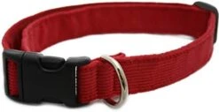 Hemp Corduroy Dog Collar - No Pattern (3/4" Medium, Avocado) -Zoo Shop 41TeMgwYaRL. AC