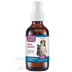 PetAlive Oral-Assist Oral Spray 2 Pack -Zoo Shop 41TljjUcTSL
