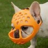 JYHY Short Snout Dog Muzzles,Soft Silicone Adjustable Breathable Bulldog Muzzle For Biting Chewing Barking Training,Ideal For Flat-Faced Dogs (L, Orange) -Zoo Shop 41TtEKctOTL