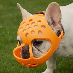 JYHY Short Snout Dog Muzzles,Soft Silicone Adjustable Breathable Bulldog Muzzle For Biting Chewing Barking Training,Ideal For Flat-Faced Dogs (L, Orange) -Zoo Shop 41TtEKctOTL. AC 1