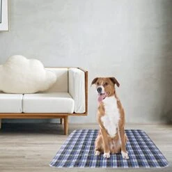 KOOLTAIL Washable Pee Pads For Dogs - Waterproof & Non-Slip Plaid Puppy Potty Training Pads, Reusable Whelping Pads, Dog Food Feeding Mat,Blue & Purple & Brown -Zoo Shop 41U44UK5RQL