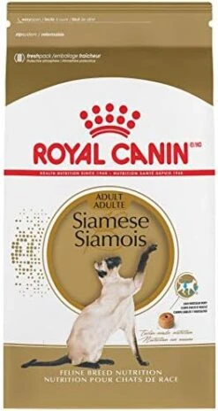 Royal Canin Siamese Breed Adult Dry Cat Food, 6 Lb Bag -Zoo Shop 41U4lEAScqL. AC