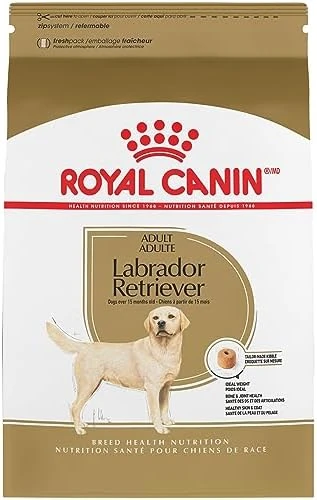 Royal Canin Labrador Retriever Adult Dry Dog Food, 30 Lb Bag 10 Royal Canin Labrador Retriever Adult Dry Dog Food, 30 Lb Bag - Image 8