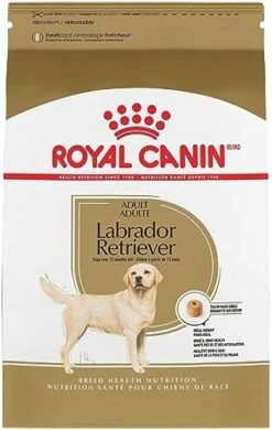 Royal Canin Labrador Retriever Adult Dry Dog Food, 30 Lb Bag 16 Royal Canin Labrador Retriever Adult Dry Dog Food, 30 Lb Bag -Zoo Shop 41U85zJdQOL. AC