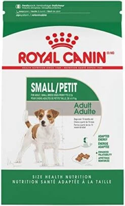 Royal Canin Small Breed Adult Dry Dog Food, 14 Lb Bag -Zoo Shop 41UDxDswDsL. AC