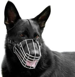 BronzeDog German Shepherd Dog Muzzle Wire Metal Basket Adjustable Leather Muzzle For Large Dogs (Size M) -Zoo Shop 41UL7ryZdiL. AC 2