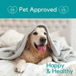 PB Pets Hemp Oil For Dogs And Cats - Organically Grown - Made In USA - Helps With Anxiety, Hip & Joint, Pain, Arthritis, And Stress - With Omega Complex (1-Pack) -Zoo Shop 41UNGpz0t6S