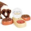 SubClap Triple Cat Bowl, Pet Water And Food Bowl Set With Automatic Water Dispenser Bottle, 2 Detachable Stainless Steel Wet Dry Food Bowls & 2.5L Spherical Water Dish For Cats & Small Dogs, Orange