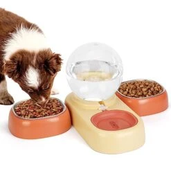 SubClap Triple Cat Bowl, Pet Water And Food Bowl Set With Automatic Water Dispenser Bottle, 2 Detachable Stainless Steel Wet Dry Food Bowls & 2.5L Spherical Water Dish For Cats & Small Dogs, Orange