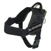DT Fun Harness, Will Fetch For Food, Black With Yellow Trim, X-Large - Fits Girth Size: 34-Inch To 47-Inch -Zoo Shop 41UUl7HuyfL