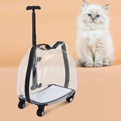 LEFEDA Portable Trolley Case Carrier, Cat Bubbles Pet Bag Case, Transparent Breathable Cat Trolley, For Small Dogs And Cats Pet Backpack Carrier (Color : Black) 12 LEFEDA Portable Trolley Case Carrier, Cat Bubbles Pet Bag Case, Transparent Breathable Cat Trolley, For Small Dogs And Cats Pet Backpack Carrier (Color : Black) -Zoo Shop 41UV4vKi17L