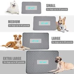 Petbuy Washable Reusable Dog Pee Pads 20”x 28”,Waterproof Non-Slip Potty Training Pads For Dogs And Cats Puppy,Fast Drying Travel Pet Pee Pads，Leak-Proof Cat Potty Pads -Zoo Shop 41UZ0zWE94L