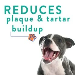 ProBesties Kiss (sm) - Bad Breath Treatment For Dogs - Dog Breath Freshener & Probiotic Perio Support - Dog Bad Breath Eliminator -Zoo Shop 41UZBJaTcTL