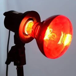 BONGBADA 6 Pack Heat Lamp Bulb R95 75 Watt Full Red Infrared Glass Lamp Bulb For Food Service, Brooder Bulb,Chicks, Pet, Bathroom,Light Therapy,Reptiles And Amphibian Use E26 Base -Zoo Shop 41Ueet6UmTS