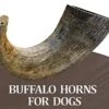 WhiteTail Naturals - Water Buffalo Horns For Dogs (3 Pack Medium) All-Natural Buffalo Horn Dog Chew - Long Lasting Chew Toy For Aggressive Chewers And Teething Puppies