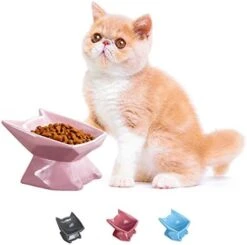 Jemirry Ceramic Raised Cat Bowl Anti Vomiting, Elevated Cat Bowls With 15° Tilt Angle, Non-Slip Food And Water Bowls For Cat And Dog, Protect Pet's Spine, Dishwasher Safe (Pink) 23 Jemirry Ceramic Raised Cat Bowl Anti Vomiting, Elevated Cat Bowls With 15° Tilt Angle, Non-Slip Food And Water Bowls For Cat And Dog, Protect Pet's Spine, Dishwasher Safe (Pink) -Zoo Shop 41UoSIpegL. AC