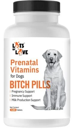 Bitch Pills | Dog Prenatal Vitamins | Prenatal Vitamins For Dogs | Prenatal For Dogs | Thomas Pet Earlier | 120 Tablets