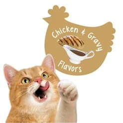 Nestle Purina Petcare 20 Oz Friskies Party Mix Gravy-licious Chicken & Gravy Flavors Cat Treats - (Pack Of 3) -Zoo Shop 41V9RwQzYML