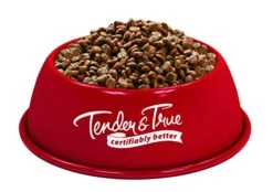 Tender & True Salmon & Sweet Potato Recipe Cat Food, 3lb -Zoo Shop 41VKZNIC6iL 2