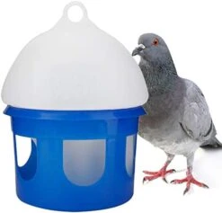 Milltrip Automatic Pigeon Feeder House Design Cover Feeding Food Dispenser Sand Case Multi Functional Pet Birds Parrot Container Supplies Dustptoof(4L) 19 Milltrip Automatic Pigeon Feeder House Design Cover Feeding Food Dispenser Sand Case Multi Functional Pet Birds Parrot Container Supplies Dustptoof(4L) -Zoo Shop 41VbKcvUL. AC