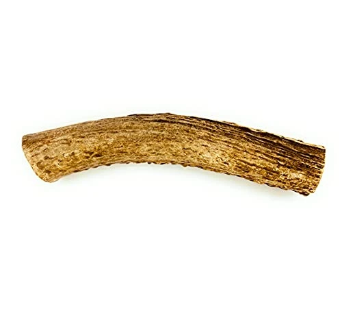 Deer Valley Dog Chews (Giant Single, 8-10 Inches) - Sustainably-Sourced Deer Antler For Extra Large Breeds - Durable And Enticing Chew Toy For Aggressive Chewers 3 Deer Valley Dog Chews (Giant Single, 8-10 Inches) - Sustainably-Sourced Deer Antler For Extra Large Breeds - Durable And Enticing Chew Toy For Aggressive Chewers