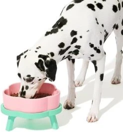 VETRESKA Ceramic Raised Dog Bowl Elevated Dog Bowl For Large Medium Small Dogs Cute Food And Water Bowl With Non-Slip Stand Pink Dog Cat Pet Feeding Dish Bowls, Medium 13 VETRESKA Ceramic Raised Dog Bowl Elevated Dog Bowl For Large Medium Small Dogs Cute Food And Water Bowl With Non-Slip Stand Pink Dog Cat Pet Feeding Dish Bowls, Medium -Zoo Shop 41WYm7 yNNL. AC