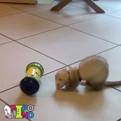 PIPOLINO Mobile Dispenser For Wellbeing/Health For Dogs Beige/Taupe S -Zoo Shop 41WZLYkjH5L