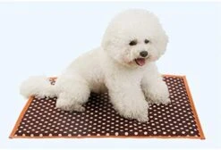 Summer Pet Dog Bed Pad Crates Ice Cooling Cat Sleeping Mat Keep Cool Nylon Kennels Sofa House -Zoo Shop 41WljjpFhYL. AC