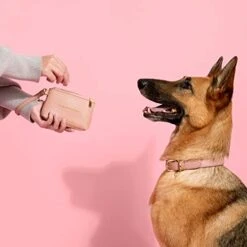 KATIE LOXTON Paw-FECT Zip Top Pebbled Vegan Leather Pet Treat Bag Pouch Pink -Zoo Shop 41WqnpDjWdL