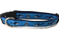 Ocean Dog Collar, Caninedesign, Quick Release Buckle, 1 Inch Wide, Adjustable, Nylon, Medium And Large (Sharks, Large 15-22") -Zoo Shop 41XL4QxVARL