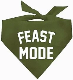 Feast Mode Thanksgiving Dog Bandana (Gold, OS 343) 15 Feast Mode Thanksgiving Dog Bandana (Gold, OS 343) -Zoo Shop 41XLzH5EHvL. AC