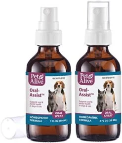 PetAlive Oral-Assist Oral Spray 2 Pack -Zoo Shop 41XOREgyUZL. AC