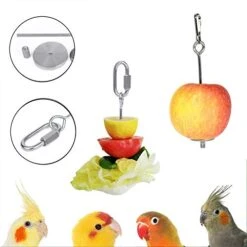 Ymmsuuie 2 Pack Bird Food Bowl With 1 Fruit Skewer Holder, Stainless Steel Parrot Feeder With Clamp For Cage,Stainless Steel Bowls For Cats And Dog, Bird Cage Food Water Bowls 15 Ymmsuuie 2 Pack Bird Food Bowl With 1 Fruit Skewer Holder, Stainless Steel Parrot Feeder With Clamp For Cage,Stainless Steel Bowls For Cats And Dog, Bird Cage Food Water Bowls -Zoo Shop 41XOs5MklhL