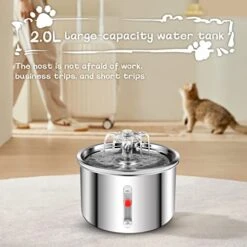 AZZXZQYU Cat Water Fountain Stainless Steel, 67oz/2L Dog Water Dispenser, Automatic Pet Water Fountain With Ultra Quiet Pump And Water Level Window For Cats,Dogs,Multiple Pets -Zoo Shop 41XQnsDKZiL