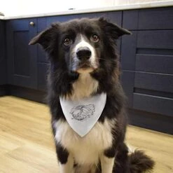 Large 'Seafood Selection' Dog/Cat/Pet Bandana (PD00038588)