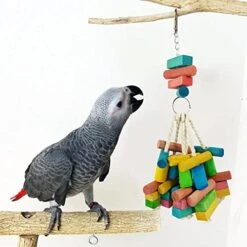 JYDQM Bird Parrot Bite Chew Toy Wooden Pendant Swing String Pet Birds Blocks Toys -Zoo Shop 41XjO18WZGL