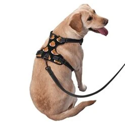 Dog Harness Leash Set Durable Oxford Breathable Reflective Puppy Harness Vest Spaghetti Italian Food For Walking Training Running, No Pull No Choke Pet Dog Harness -Zoo Shop 41XrapK9z1L