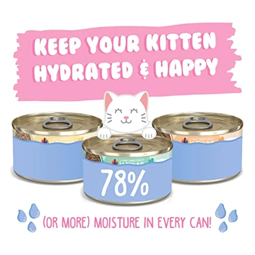 Weruva Kitten, Kitten Can Jam! Variety Pack, 3oz Can (Pack Of 12) 6 Weruva Kitten, Kitten Can Jam! Variety Pack, 3oz Can (Pack Of 12) - Image 4