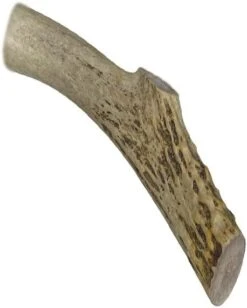 WhiteTail Naturals | Premium Deer Antlers For Dogs (Extra Large) | All Natural Antler Dog Chew | Naturally Shed, Long Lasting Chew Bone, Made In USA -Zoo Shop 41YR0pFCXVL. AC