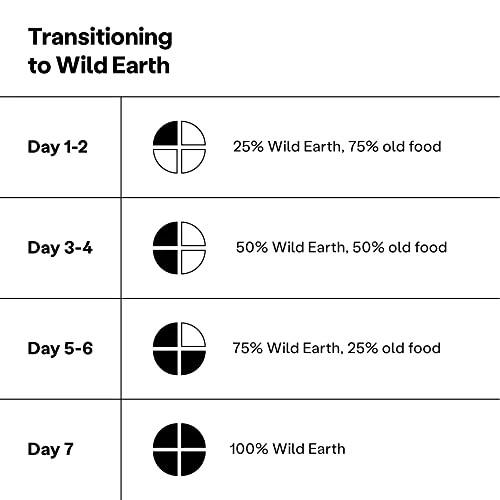 Wild Earth Vegan Dry Dog Food Performance Formula | Plant-Based Vegetarian Kibble | Wheat-Free, Allergen-Free, Veterinarian-Developed | Veggie Chick'n Kabob Flavor, 4lb Bag 8 Wild Earth Vegan Dry Dog Food Performance Formula | Plant-Based Vegetarian Kibble | Wheat-Free, Allergen-Free, Veterinarian-Developed | Veggie Chick'n Kabob Flavor, 4lb Bag - Image 6