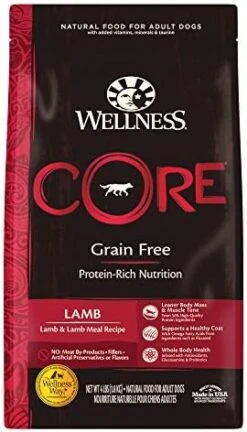 Wellness CORE Grain-Free High-Protein Dry Dog Food, Natural Ingredients, Made In USA With Real Meat, All Breeds, For Adult Dogs (Original Turkey & Chicken, 4-Pound Bag) -Zoo Shop 41YhuFaeEyL. AC 1